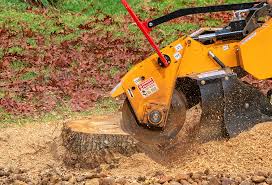 Best Lawn Drainage Solutions  in Lakeland, FL