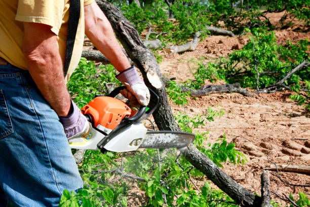 Lawn Drainage Solutions in Lakeland, FL